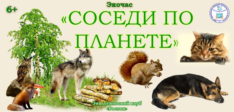 0экочас